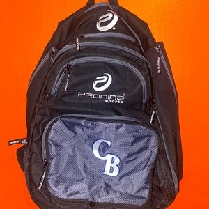 Two bat Baseball bag (flexible with price)
